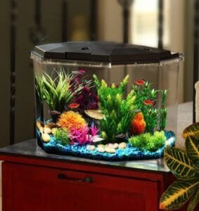 Picture of Aquarium Water Chemistry Guide – pH, KH, GH & TDS Explained