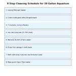 Visual cleaning checklist for 20 gallon freshwater aquarium maintenance in 8 simple weekly steps, including water changes, glass cleaning, and filter care.