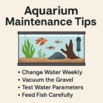 Aquarium Maintenance Tips infographic showing a fish tank with plants, driftwood, and fish, alongside four key care tips: change water weekly, vacuum gravel, test parameters, and feed carefully.