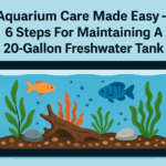 Illustration of a well-maintained 20-gallon freshwater aquarium with colorful fish, plants, rocks, and the title “Aquarium Care Made Easy – 6 Steps for Maintaining a 20-Gallon Freshwater Tank