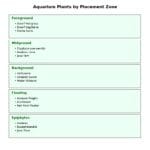 Visual chart of aquarium plant types organized by zone: foreground, midground, background, floating, and epiphytes for aquascaping layout.