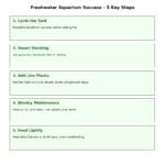 Visual summary of 5 key steps for freshwater aquarium success: cycle the tank, stock wisely, plant live greens, do weekly maintenance, and feed sparingly.