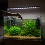A peaceful, medium-sized home aquarium setup featuring a clear 20-gallon tank with vibrant neon tetras, lush green plants like Java fern and Anubias, smooth gravel substrate, and soft LED lighting. A person is gently feeding the fish while using a magnetic glass cleaner on the front panel. The tank is placed on a stylish stand in a cozy, modern living room setting with natural daylight.