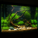 A vibrant, budget-friendly home aquarium setup with lush green aquatic plants, driftwood, smooth river stones, and colorful fish like neon tetras and a betta. The tank is placed on a simple stand with natural lighting, giving a cozy and eco-friendly vibe. The background is dark to enhance the brightness of the plants and fish. The scene looks peaceful and well-maintained, emphasizing affordability and creativity.