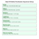 Visual layout of a clean, sparkling 20 gallon freshwater aquarium including filter setup, plant placement, heater range, lighting, substrate, and ideal fish and invertebrates.
