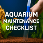 A person using a blue gravel vacuum during aquarium maintenance, surrounded by green plants and colorful fish in a clean, planted tank.
