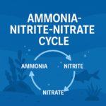 A digital graphic features a blue educational illustration of the ammonia-nitrite-nitrate cycle, showing arrows forming a circle labeled with each compound, set against a backdrop of aquatic plants and a fish.
