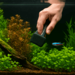 human hand cleaning the inside glass of a freshwater aquarium using a magnetic algae scraper, with plants and a small fish visible inside the tank.