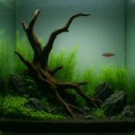 aquascaped aquarium with driftwood centerpiece, jagged dark stones, lush green carpeting plants, and background stem plants under soft aquarium lighting.