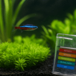 close-up view of a freshwater aquarium with a neon tetra swimming near vibrant green plants, alongside a clear water testing strip in the foreground