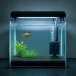 rectangular, transparent glass hospital aquarium with sponge filter and plastic plants, illuminated by LED lighting, housing a single orange fish.