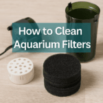 A digital photograph features an aquarium filter disassembled on a wood surface with sponge media, white bio-media, and a green filter housing, labeled 'How to Clean Aquarium Filters.