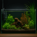 a planted freshwater aquarium with vibrant green and red aquatic plants, dark gravel substrate, and a central driftwood centerpiece under soft aquarium lighting.