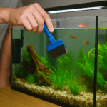 close-up of a person cleaning the inside glass of a freshwater aquarium using a blue algae scraper, with green plants and small fish visible inside.