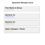 Visual chart explaining the aquarium nitrogen cycle – showing fish waste turning into ammonia, then nitrite, then nitrate, with removal via water changes or plants.