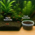 Freshwater shrimp aquarium with worn active substrate in the tank and containers of fresh substrate nearby, surrounded by live plants and red cherry shrimp