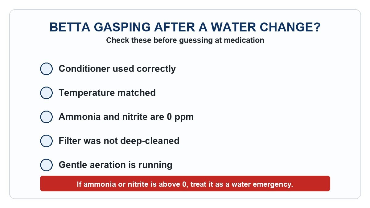 Checklist of water change issues to check when a betta fish starts gasping after maintenance.