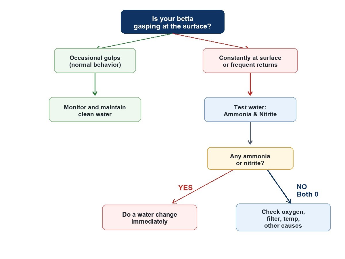 Decision tree for diagnosing why a betta is gasping at the surface.