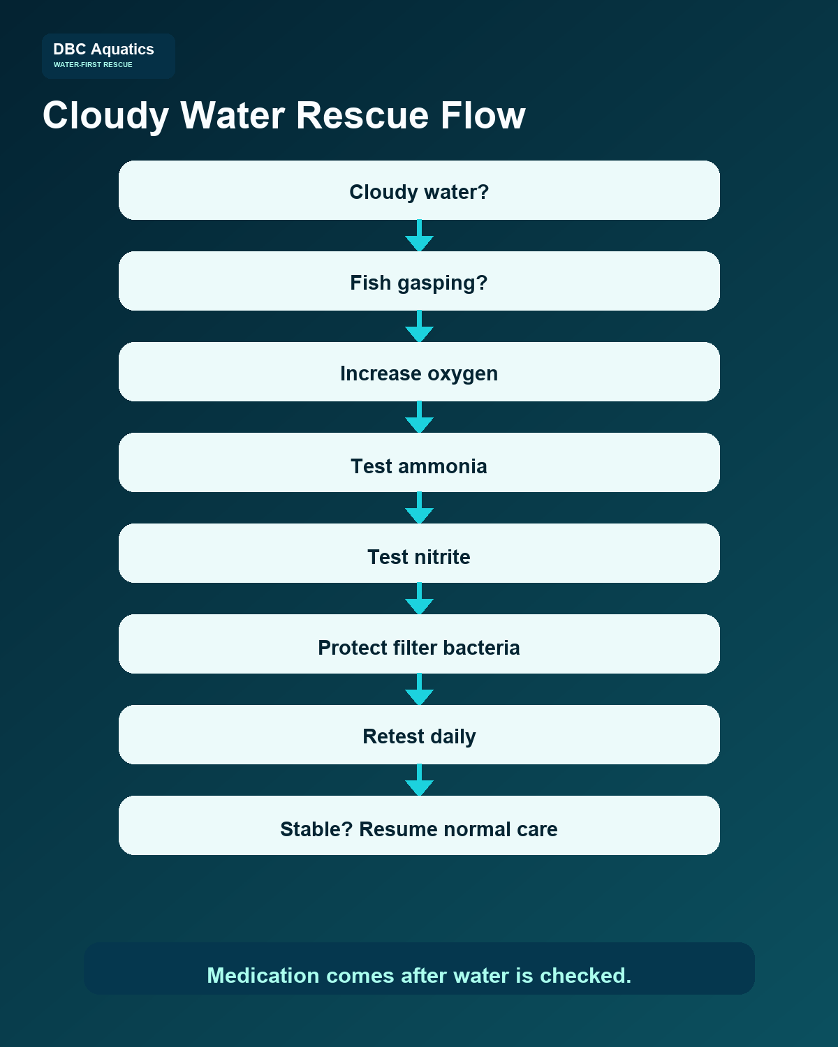 Cloudy water rescue decision tree for gasping fish, ammonia, nitrite, filter bacteria, and recent cleaning.