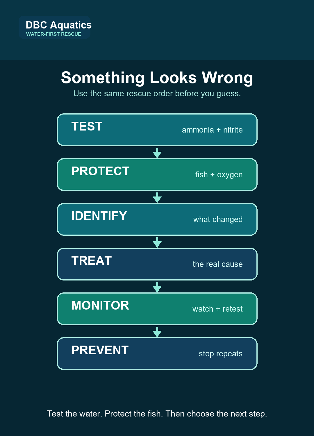 DBC water-first rescue framework showing TEST, PROTECT, IDENTIFY, TREAT, MONITOR, and PREVENT.