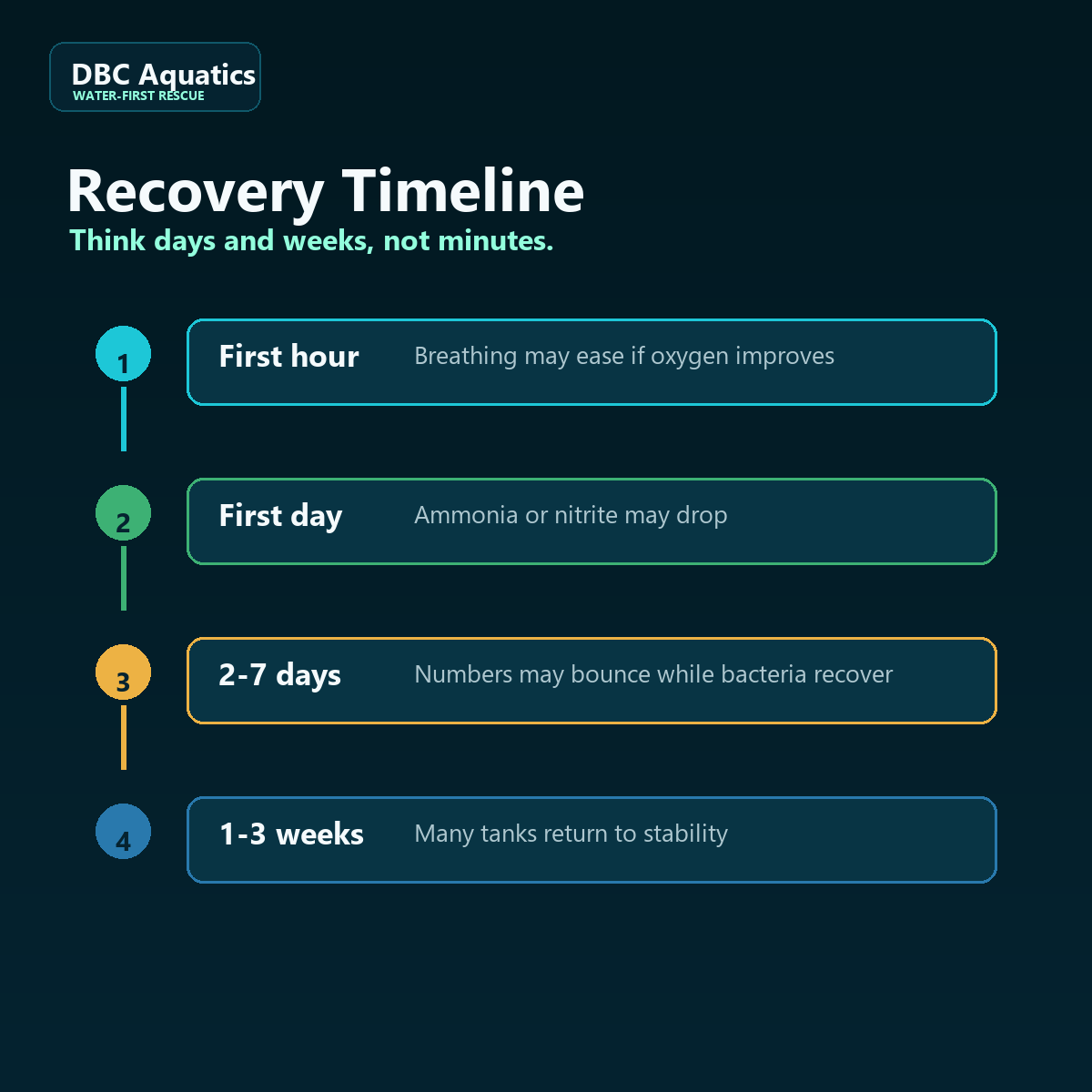 Nitrogen cycle recovery timeline from oxygen support through stable water tests.