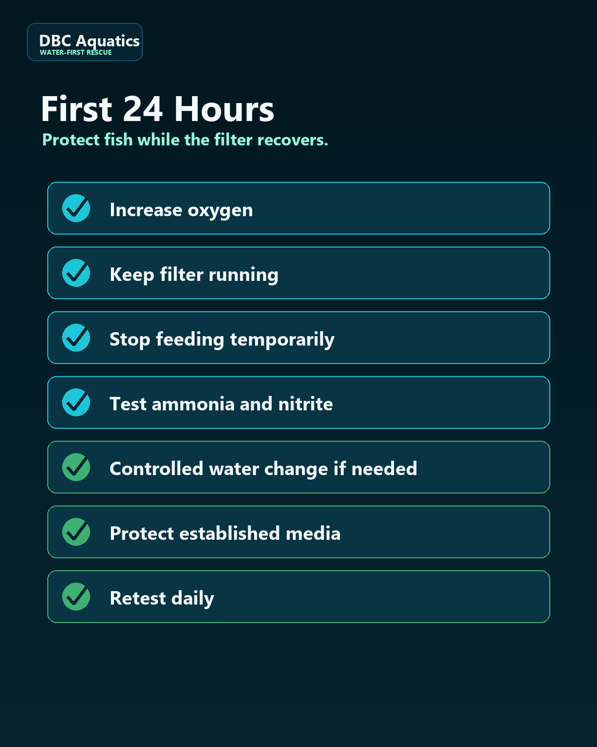 First 24 hours checklist for protecting fish during a filter bacteria crash.