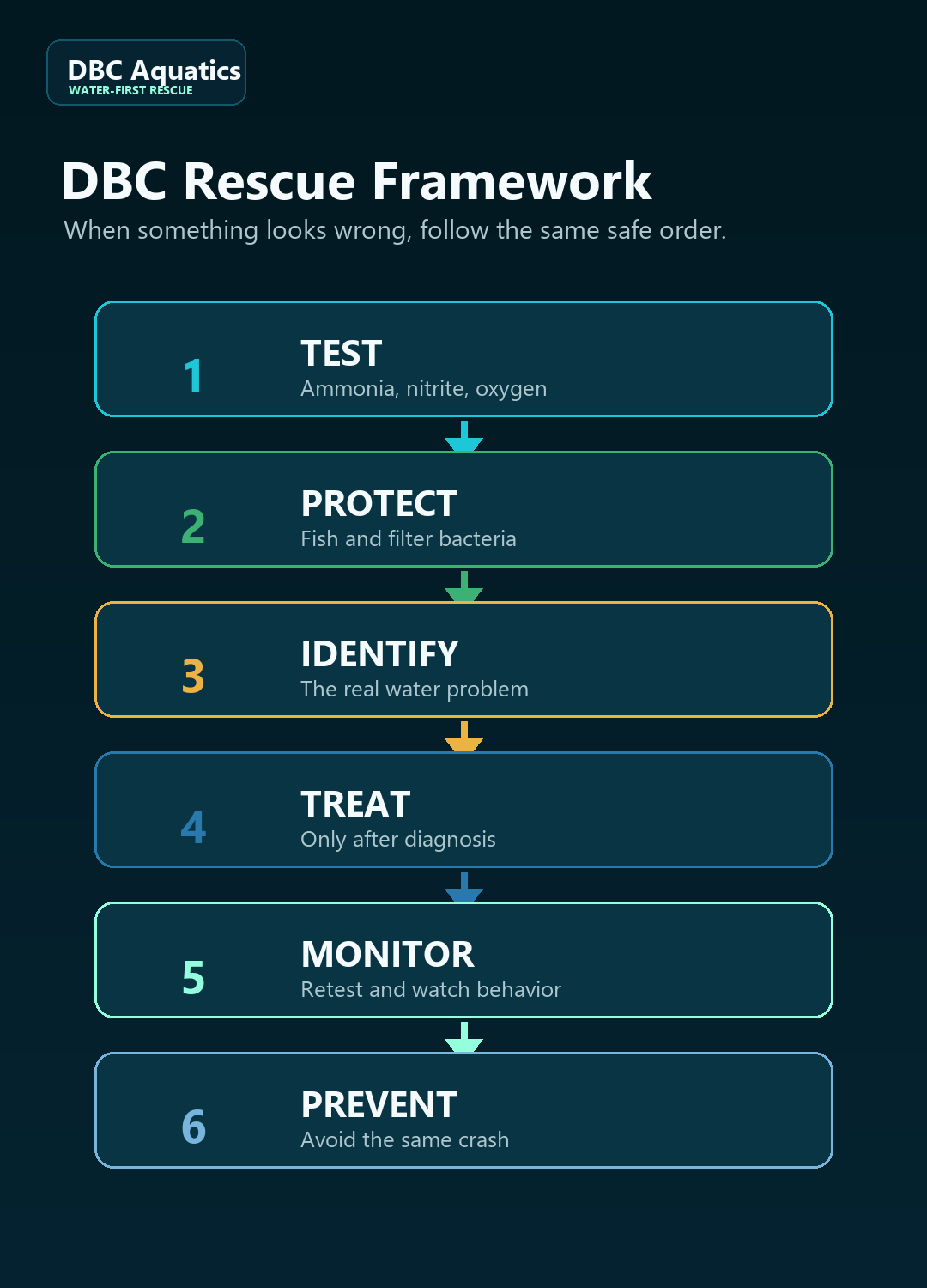 DBC water-first rescue framework showing TEST, PROTECT, IDENTIFY, TREAT, MONITOR, and PREVENT.