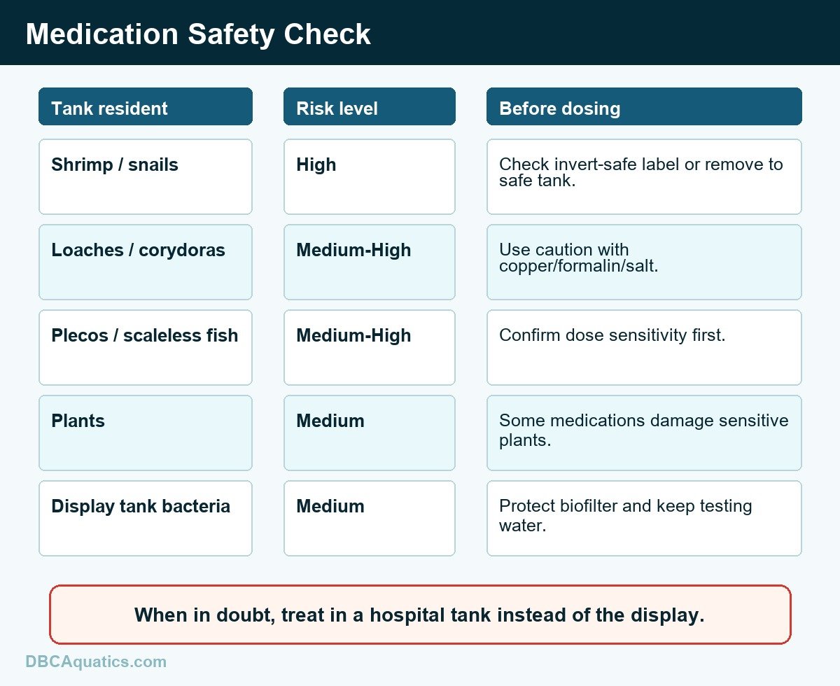 Medication safety chart for shrimp, snails, plants, loaches, corydoras, plecos, and scaleless fish.