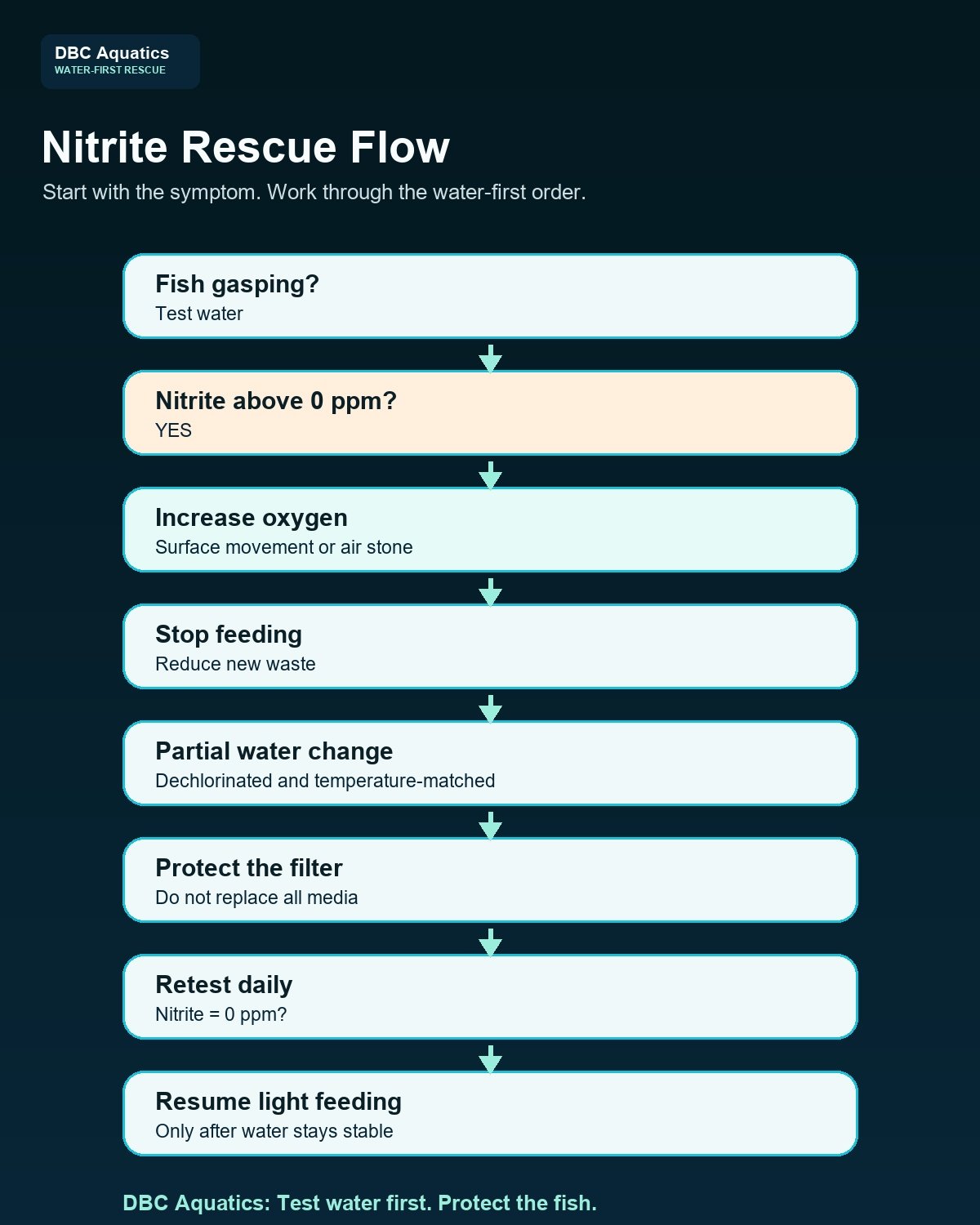 Decision tree for responding to nitrite poisoning in aquarium fish.