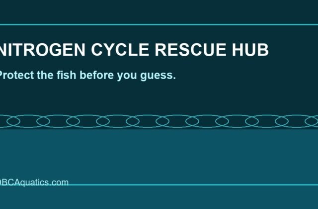Nitrogen Cycle Rescue Hub