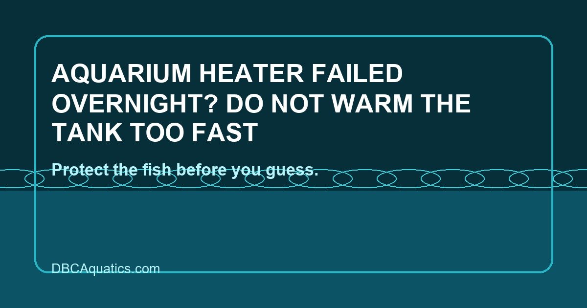 Rescue-focused aquarium guide visual for Aquarium Heater Failed Overnight? Do Not Warm The Tank Too Fast.